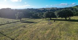 Buildable Land For Sale Olbia Sardinia ref Aust