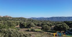 Land For Sale Olbia Sardinia ref AratMann