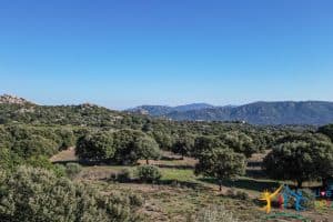 Land For Sale Olbia Sardinia ref AratMann