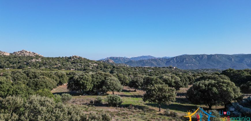 Land For Sale Olbia Sardinia ref AratMann