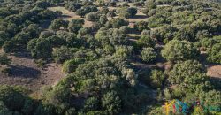 Land For Sale Olbia Sardinia ref AratMann