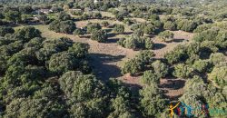 Land For Sale Olbia Sardinia ref AratMann