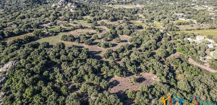 Land For Sale Olbia Sardinia ref AratMann