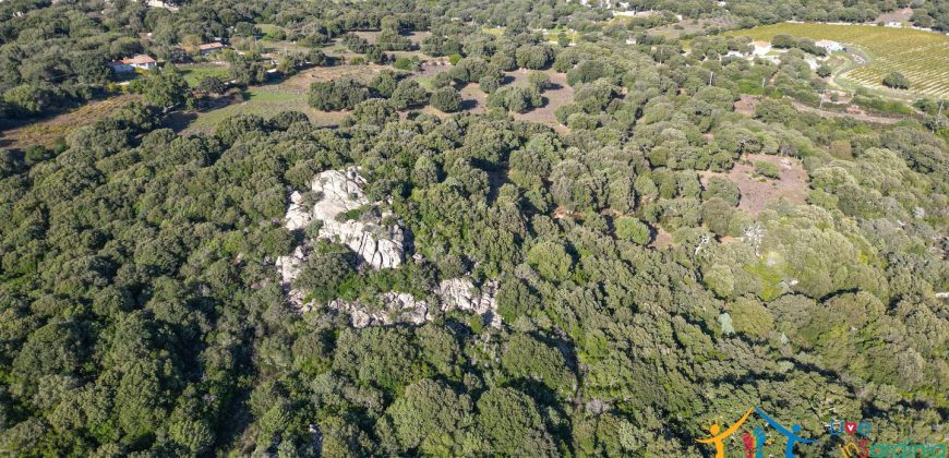 Land For Sale Olbia Sardinia ref AratMann