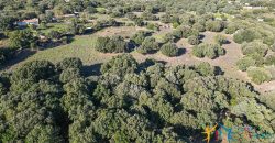 Land For Sale Olbia Sardinia ref AratMann