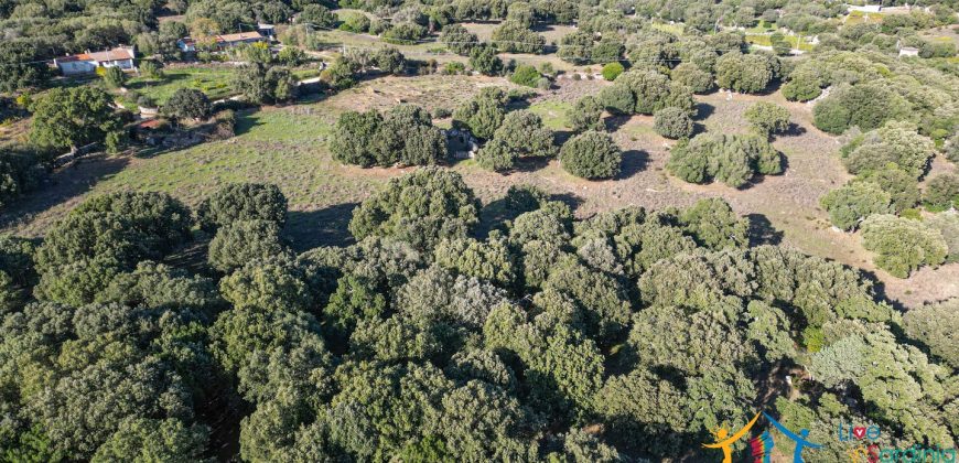 Land For Sale Olbia Sardinia ref AratMann