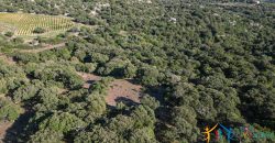 Land For Sale Olbia Sardinia ref AratMann