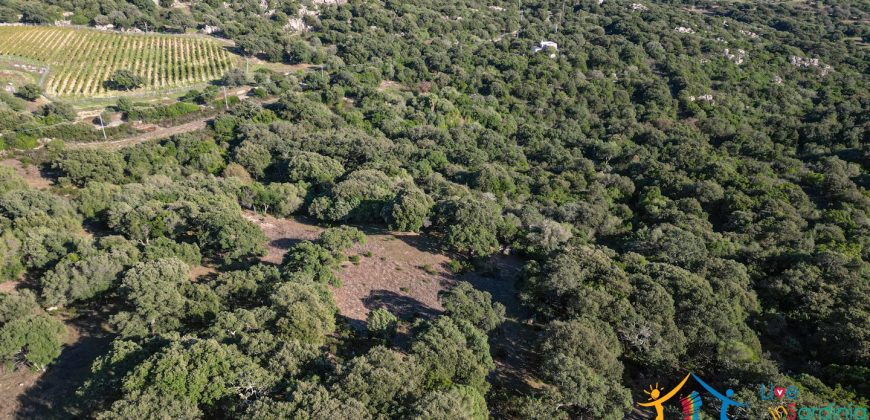 Land For Sale Olbia Sardinia ref AratMann