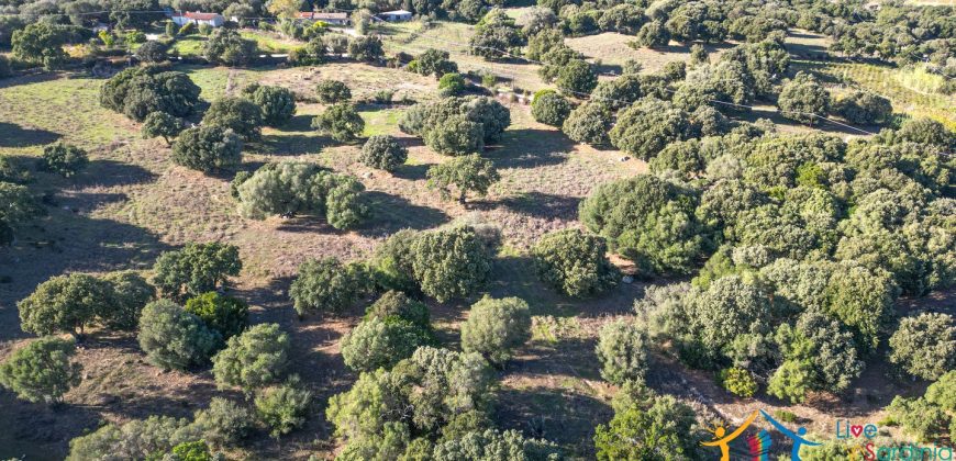 Land For Sale Olbia Sardinia ref AratMann