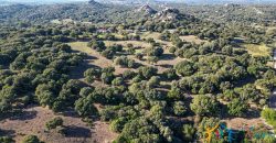 Land For Sale Olbia Sardinia ref AratMann