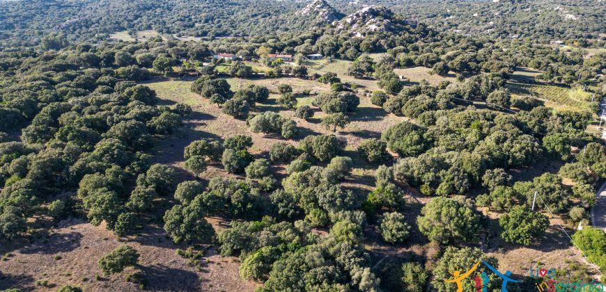 Land For Sale Olbia Sardinia ref AratMann