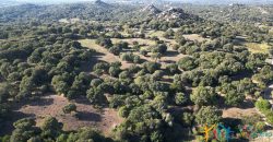 Land For Sale Olbia Sardinia ref AratMann