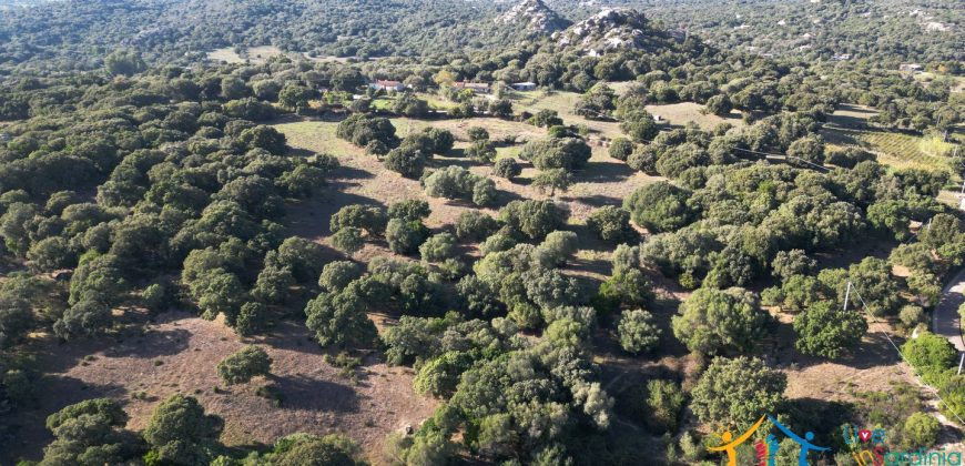 Land For Sale Olbia Sardinia ref AratMann