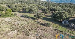 Land For Sale Olbia Sardinia ref AratMann