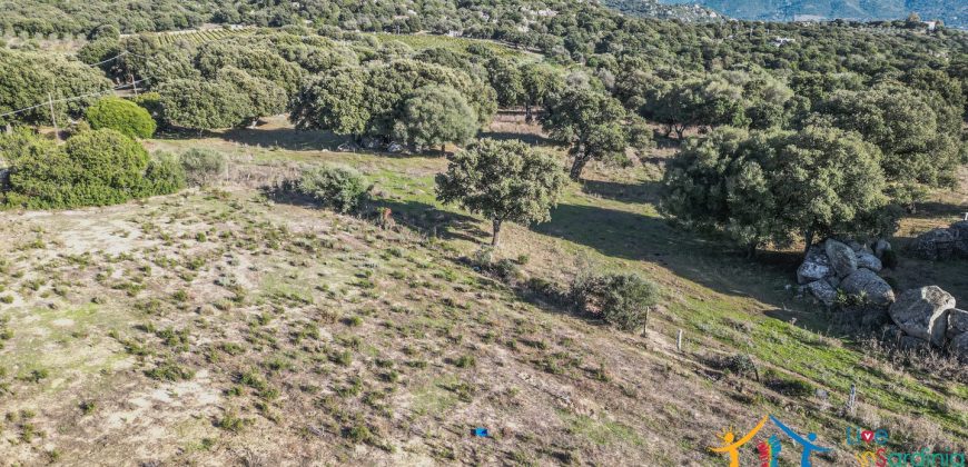 Land For Sale Olbia Sardinia ref AratMann