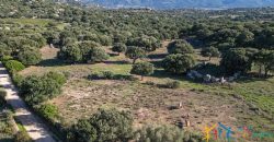 Land For Sale Olbia Sardinia ref AratMann