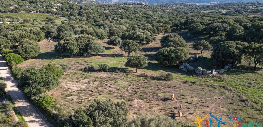 Land For Sale Olbia Sardinia ref AratMann