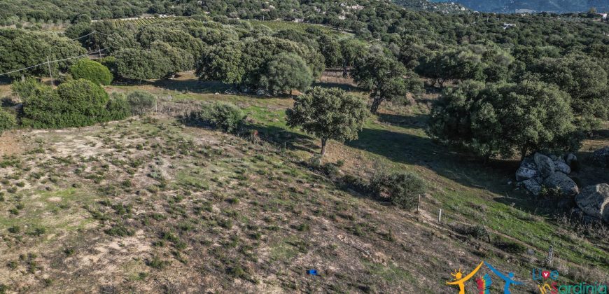 Land For Sale Olbia Sardinia ref AratMann