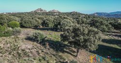 Land For Sale Olbia Sardinia ref AratMann