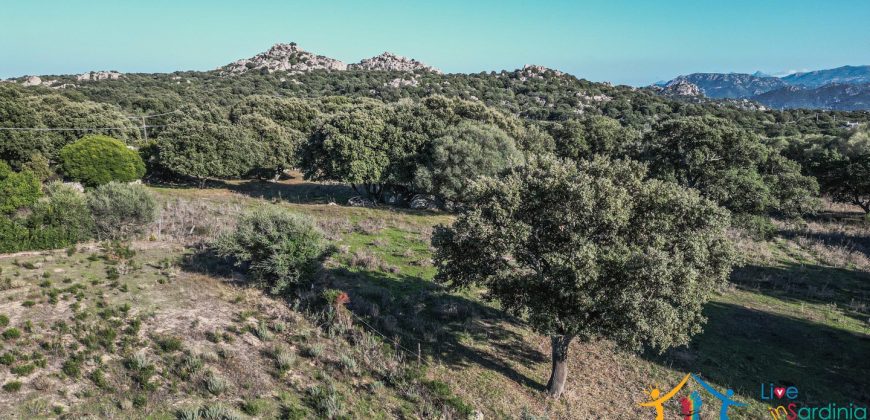 Land For Sale Olbia Sardinia ref AratMann