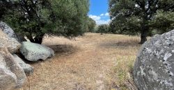 Land For Sale Olbia Sardinia ref AratMann