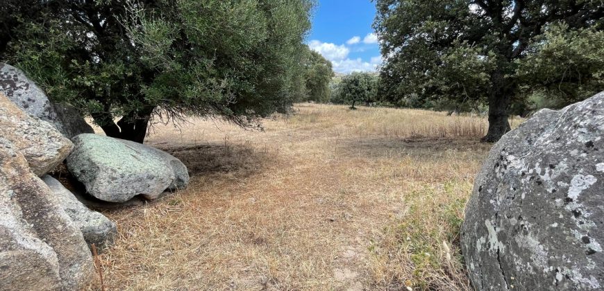 Land For Sale Olbia Sardinia ref AratMann