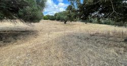 Land For Sale Olbia Sardinia ref AratMann