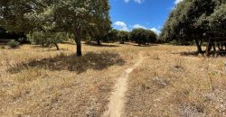 Land For Sale Olbia Sardinia ref AratMann