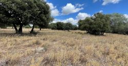 Land For Sale Olbia Sardinia ref AratMann