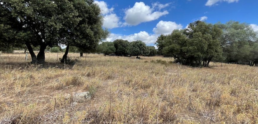 Land For Sale Olbia Sardinia ref AratMann