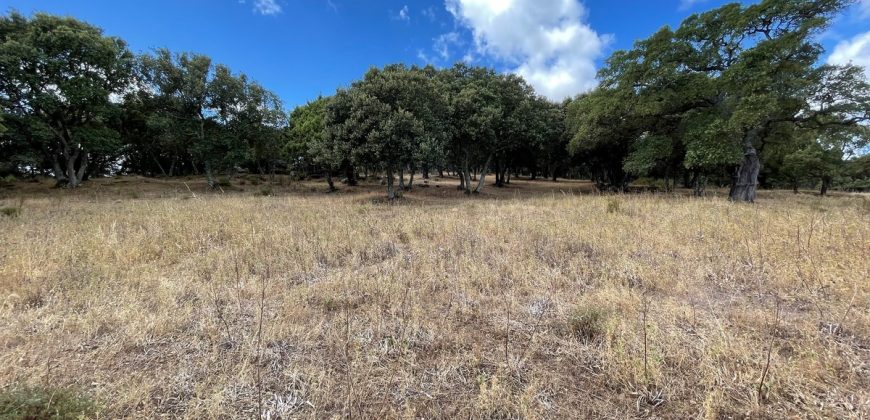 Land For Sale Olbia Sardinia ref AratMann