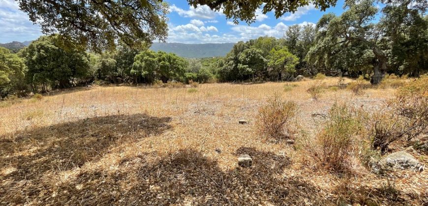 Land For Sale Olbia Sardinia ref AratMann