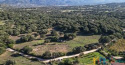 Land For Sale Olbia Sardinia ref AratMann