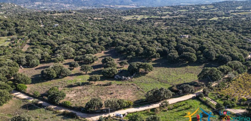 Land For Sale Olbia Sardinia ref AratMann