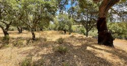 Land For Sale Olbia Sardinia ref AratMann