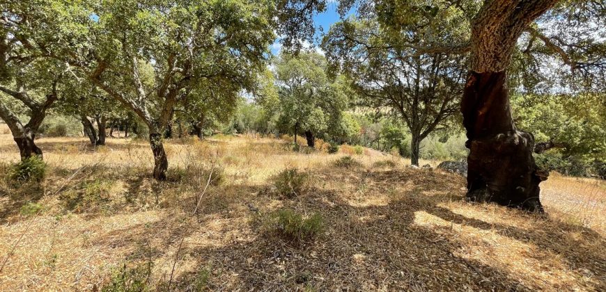 Land For Sale Olbia Sardinia ref AratMann