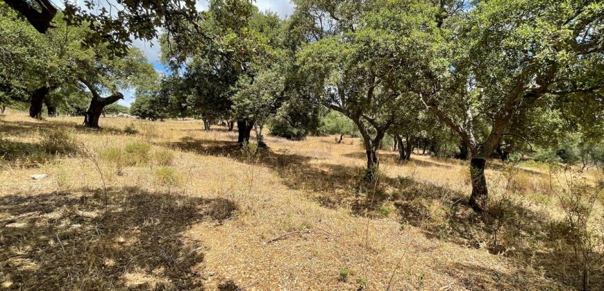 Land For Sale Olbia Sardinia ref AratMann