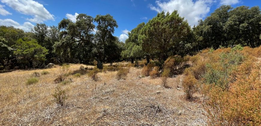 Land For Sale Olbia Sardinia ref AratMann