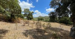 Land For Sale Olbia Sardinia ref AratMann