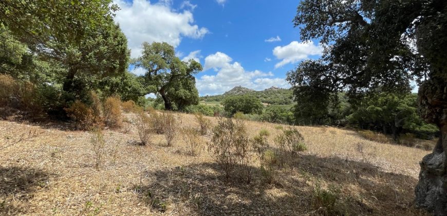 Land For Sale Olbia Sardinia ref AratMann