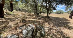 Land For Sale Olbia Sardinia ref AratMann