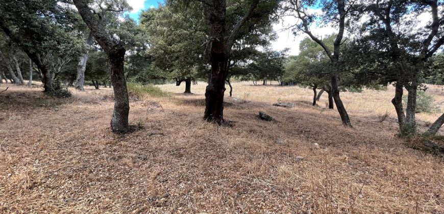 Land For Sale Olbia Sardinia ref AratMann