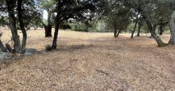 Land For Sale Olbia Sardinia ref AratMann