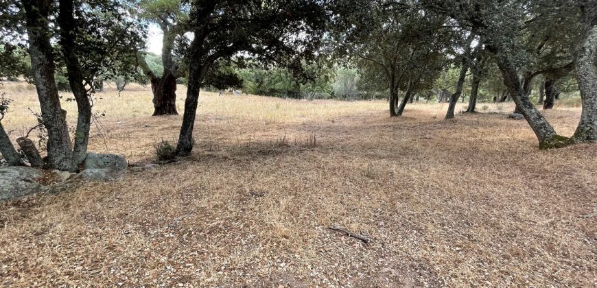 Land For Sale Olbia Sardinia ref AratMann