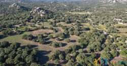 Land For Sale Olbia Sardinia ref AratMann