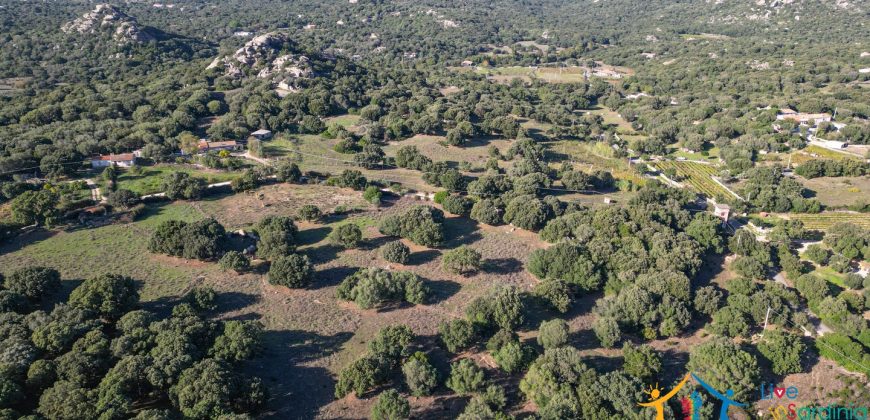 Land For Sale Olbia Sardinia ref AratMann