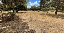 Land For Sale Olbia Sardinia ref AratMann