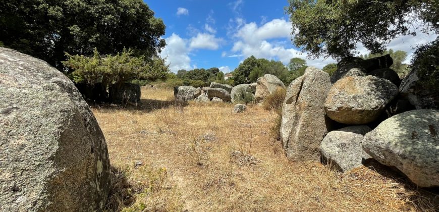 Land For Sale Olbia Sardinia ref AratMann