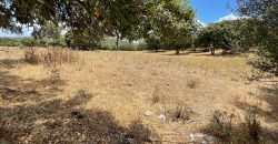 Land For Sale Olbia Sardinia ref AratMann