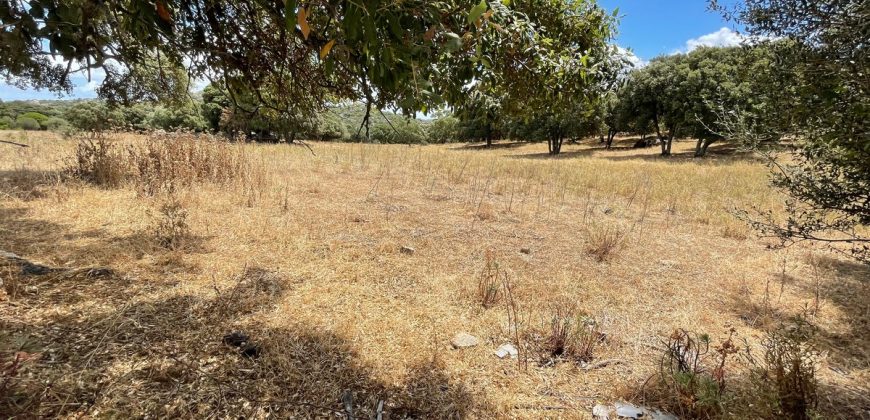 Land For Sale Olbia Sardinia ref AratMann